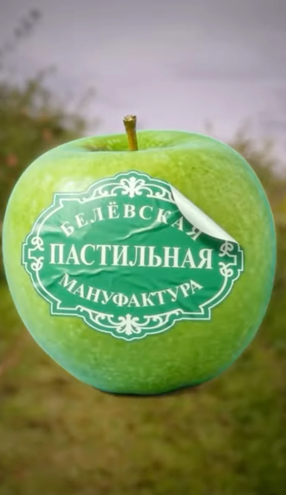 Зелёное яблоко с наклейкой Белёвской пастильной мануфактуры